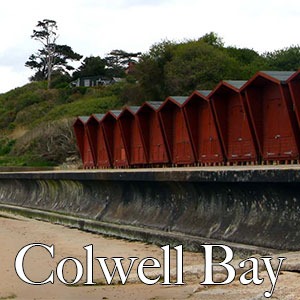 Logo for 